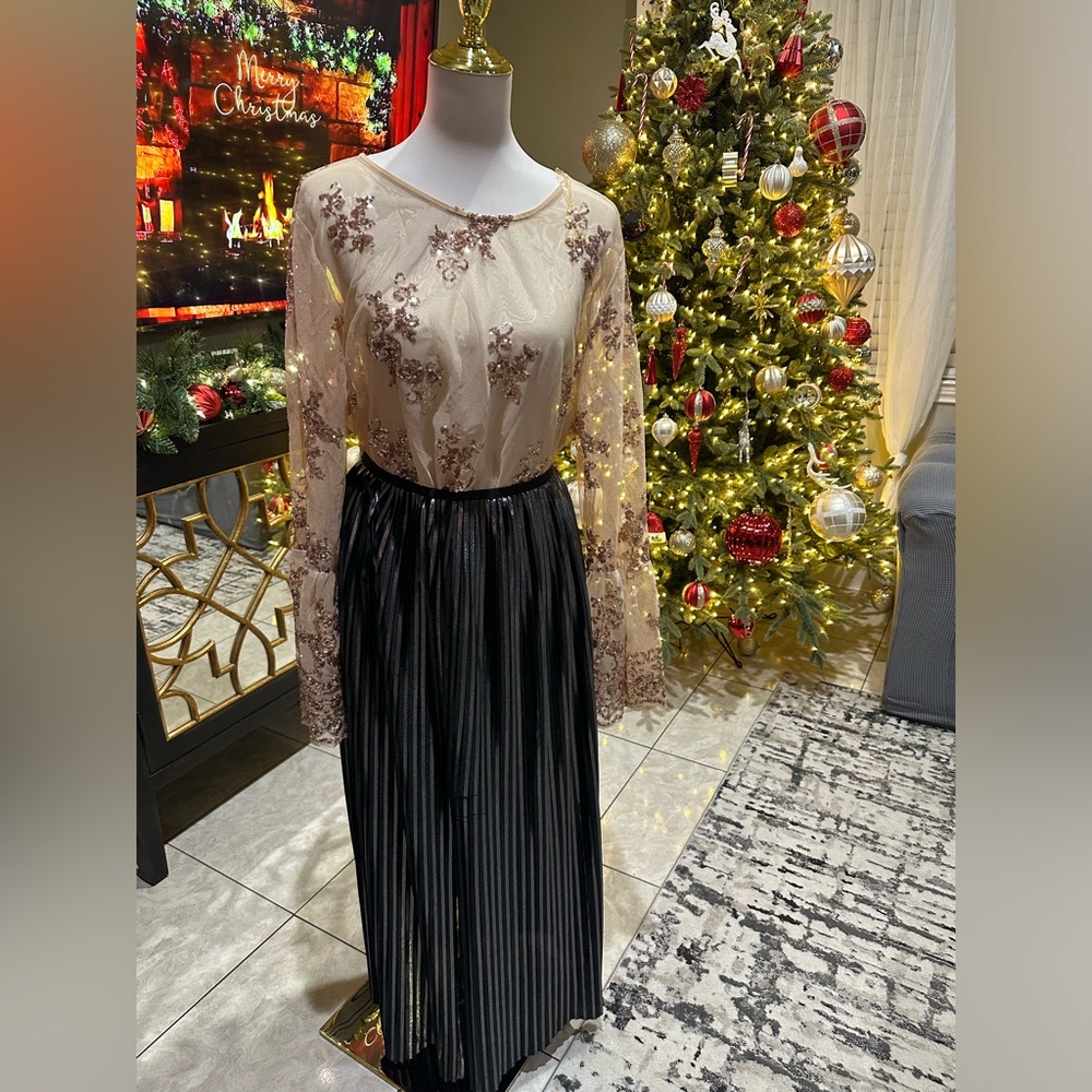 Zara maxi skirt